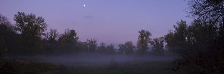 𝓜𝓪𝓭𝓲 ( Five's version ) banner