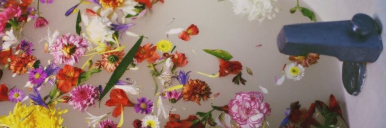 nathybiscoito's profile banner image