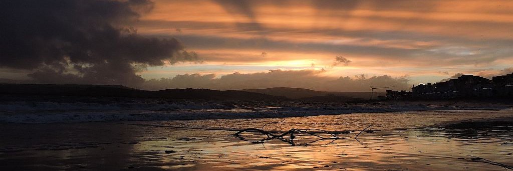 Sylvia Morris banner