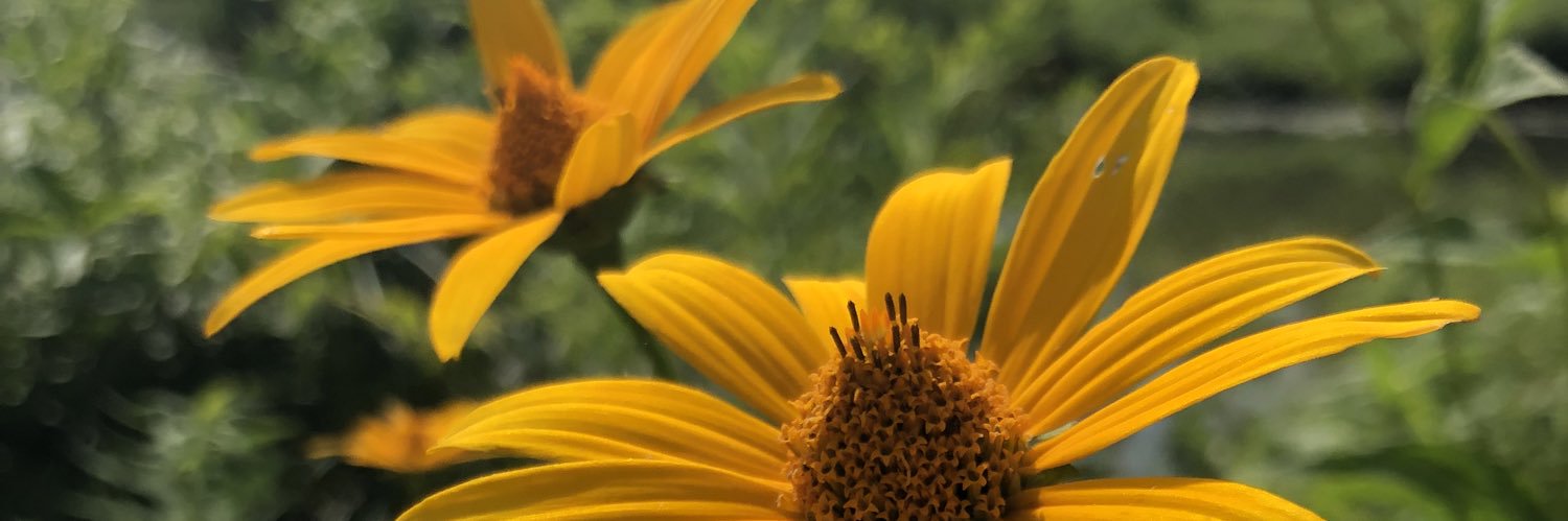 alexgousse's profile banner image