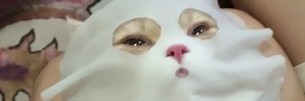 ke__ha02 Profile Banner