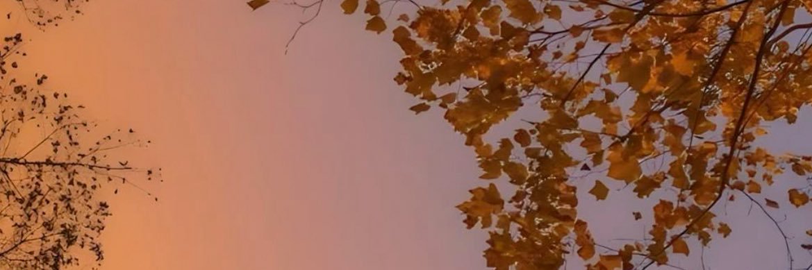 axellevalle_'s profile banner image