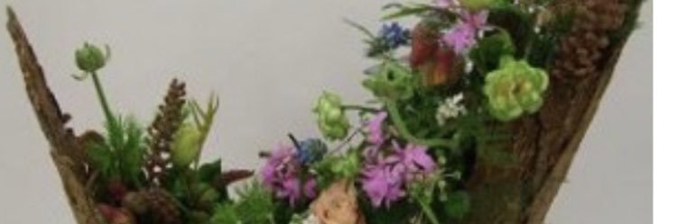 vertdouze12no's profile banner image