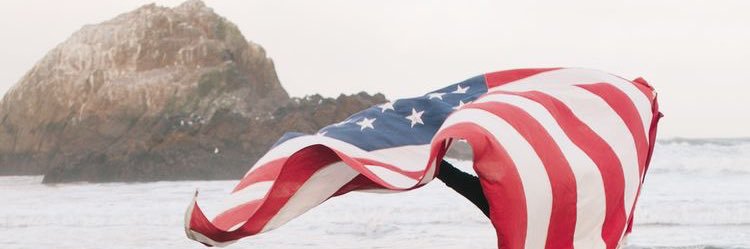 LilWesterkamp's profile banner image