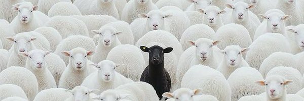 ClearPill589 Profile Banner