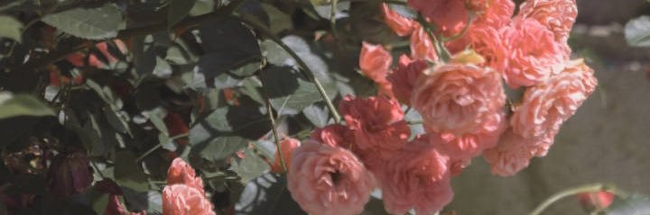 youtine1029's profile banner image