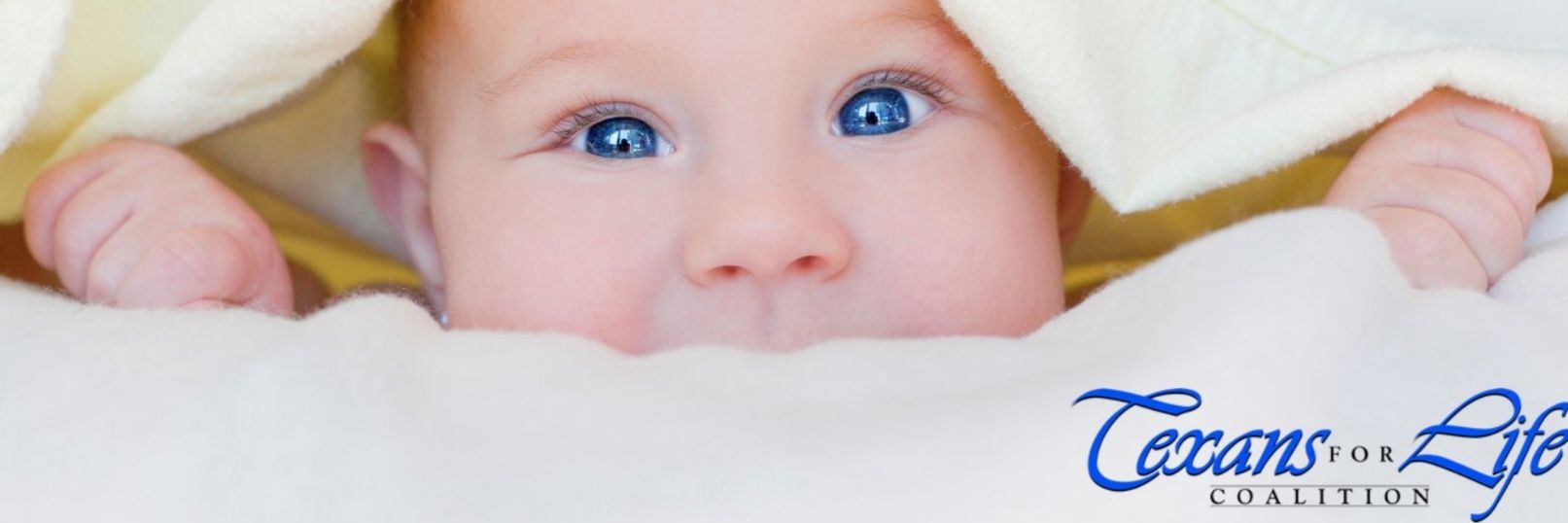 Texans for Life banner