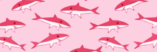 biol_dei's profile banner image