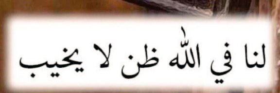 فاتن العنزي banner