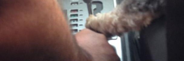 sam1048's profile banner image
