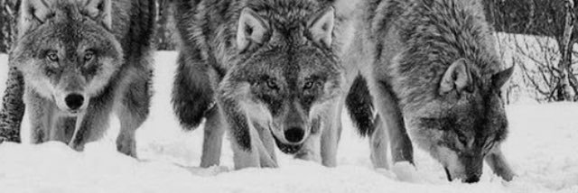 uge99's profile banner image
