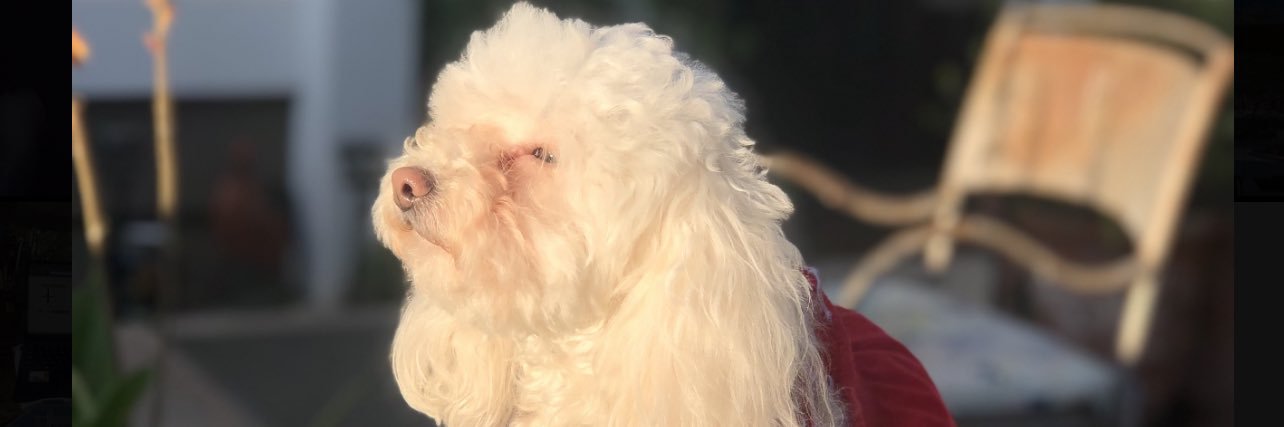JARELYYVETTE's profile banner image