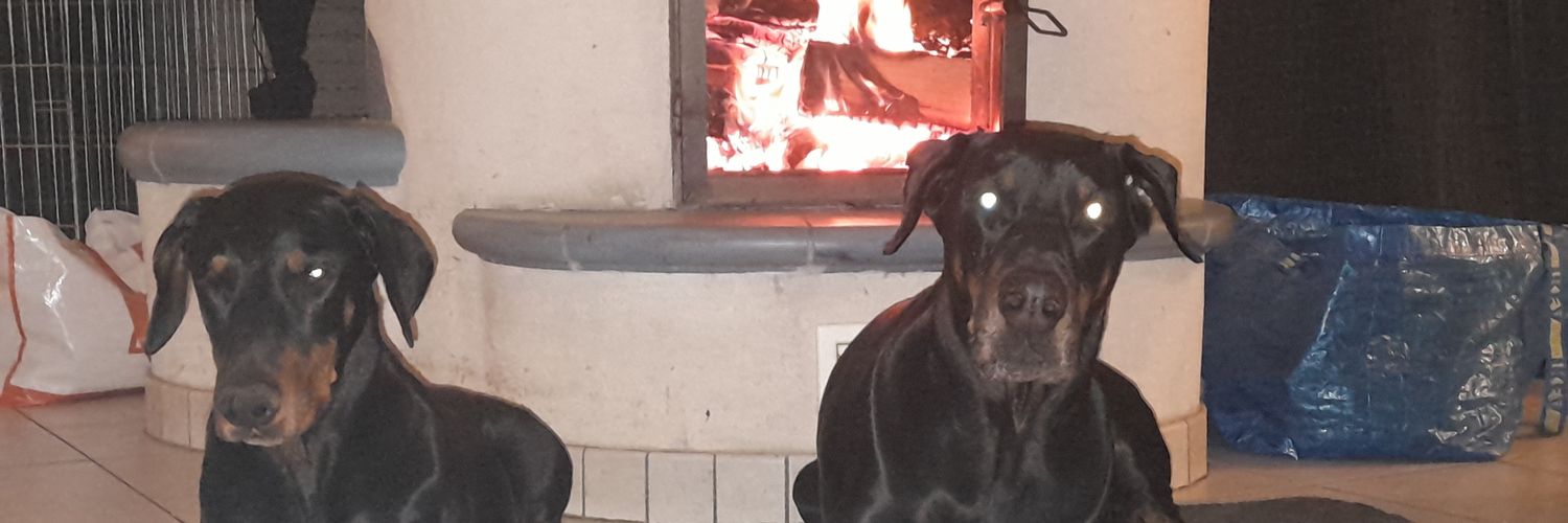 Stefan H.🇩🇪🇩🇪🇩🇪🇩🇪🇩🇪🇩🇪🇩🇪🇩🇪🇩🇪🇩🇪 banner