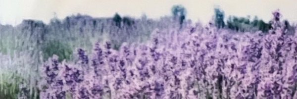 kylyfe Profile Banner