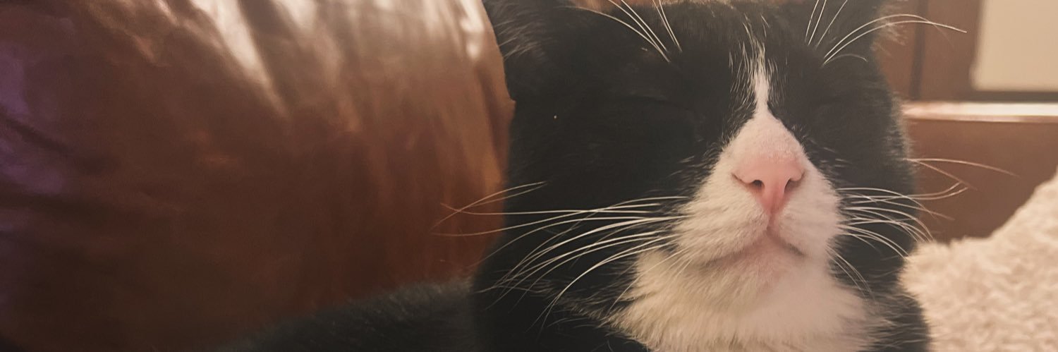 emilyrued's profile banner image