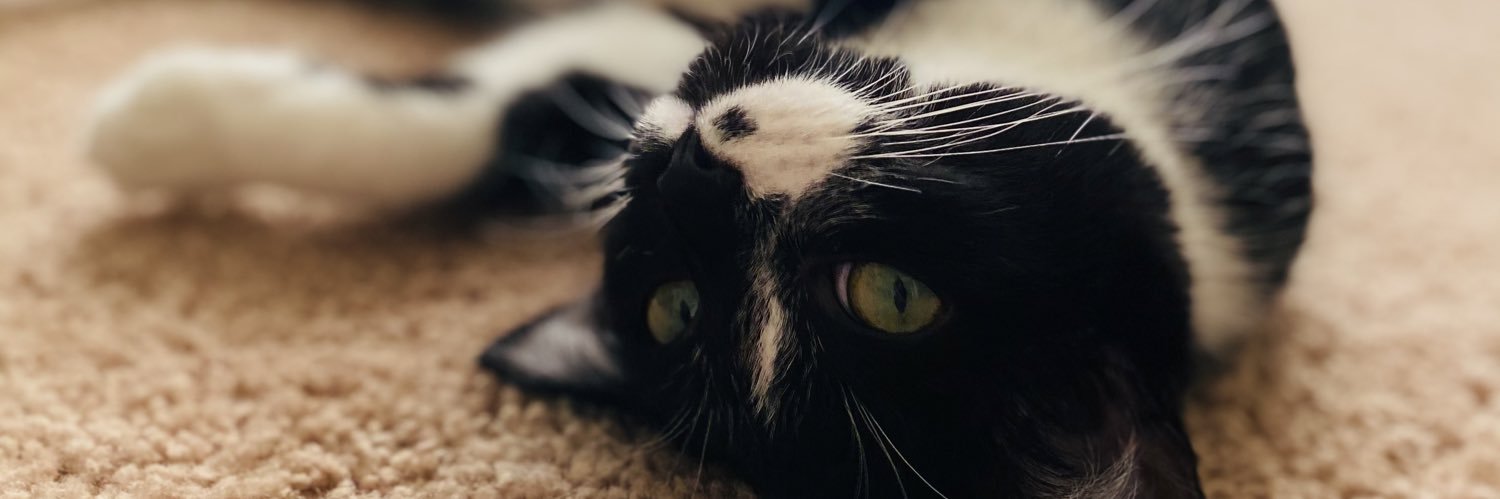 m_shellcollins's profile banner image