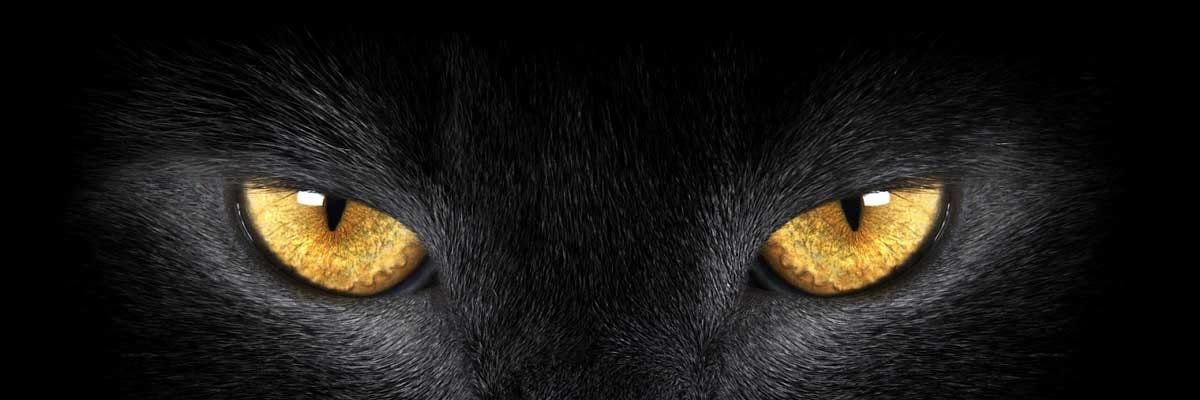 dtxc130542's profile banner image
