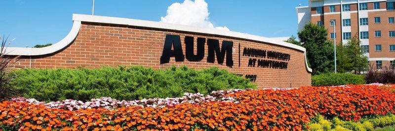 Skylar Chappell banner