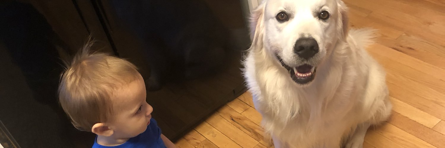 Johnnystimax's profile banner image