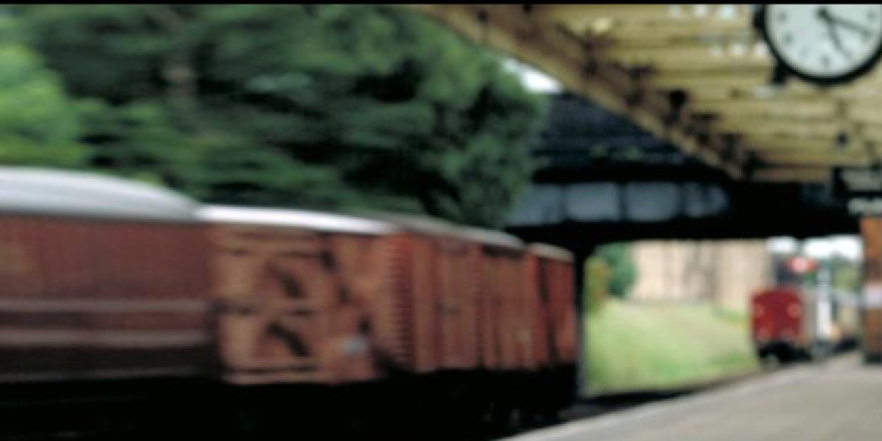 Leo banner