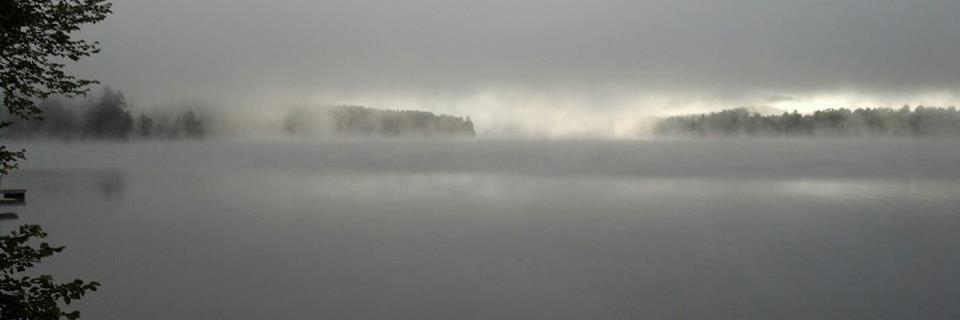 emoskowitz's profile banner image