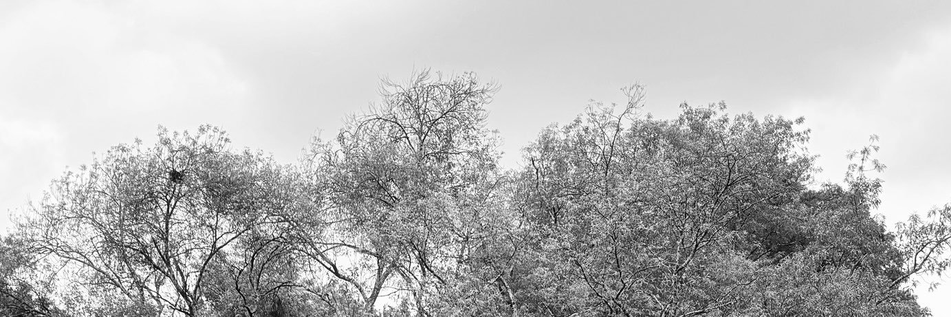 nuucolby's profile banner image