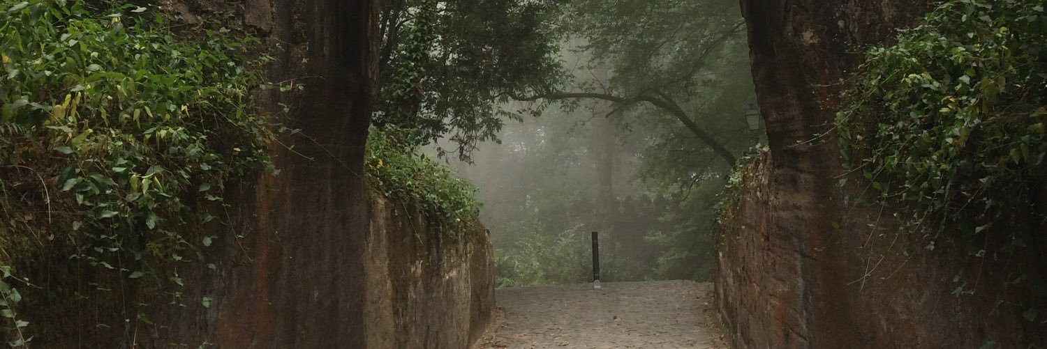 Tobbegustaf's profile banner image