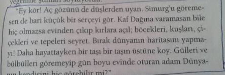 kadri söverdjdkfkfkdkfkdkfkfkdkfkfkfkfkfkfkfkffkf banner