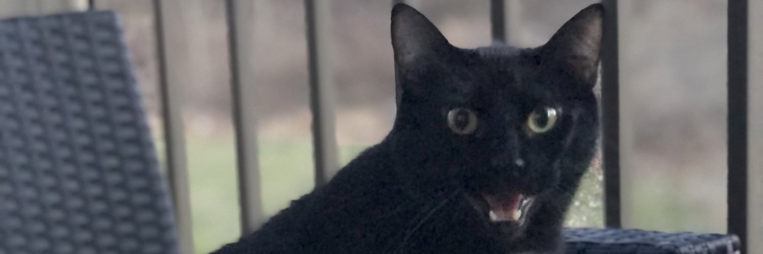 rrosey13's profile banner image