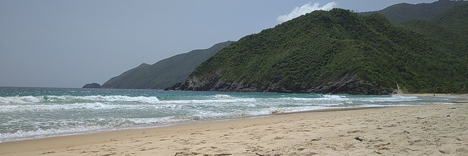 Grecia Alejandra Ferrer banner