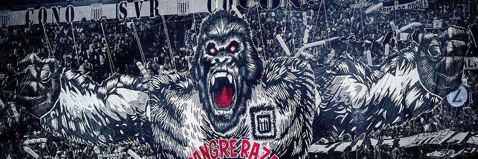 checholr1's profile banner image