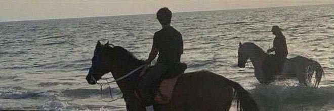 e banner
