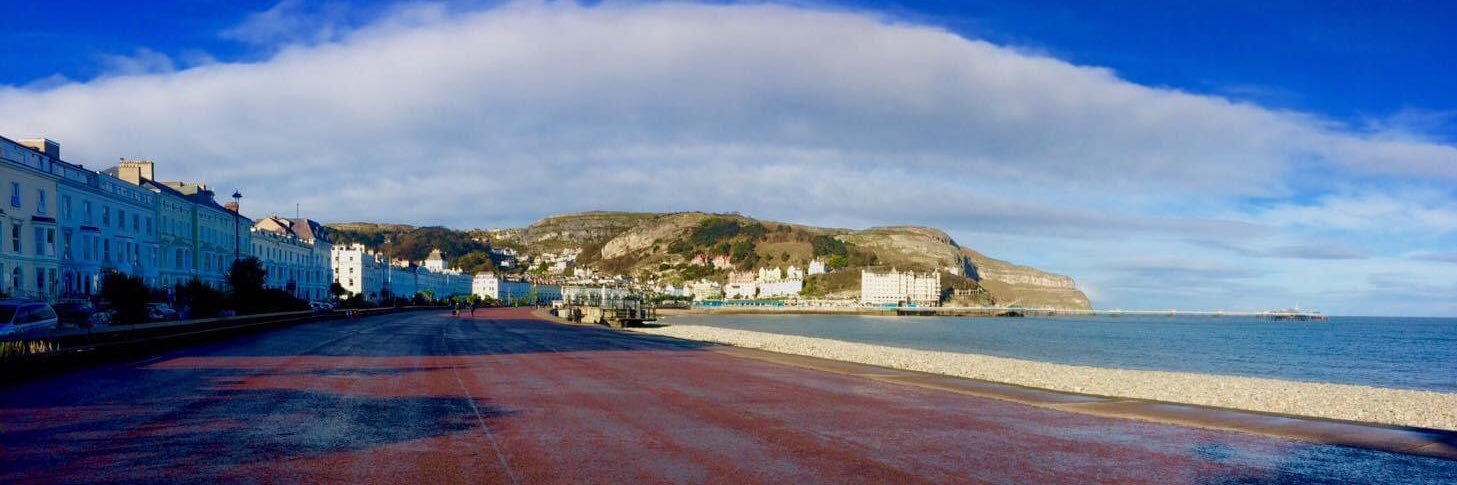 Ribster13 Photography media. banner