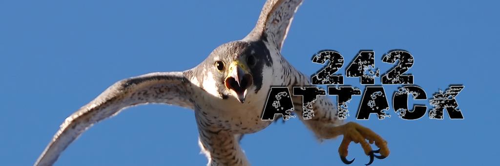 Falcon Football Club banner