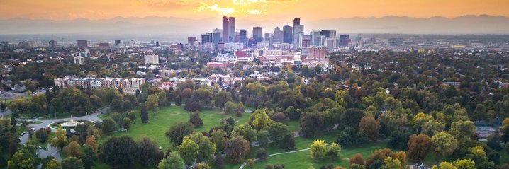 Alliance4Trees banner