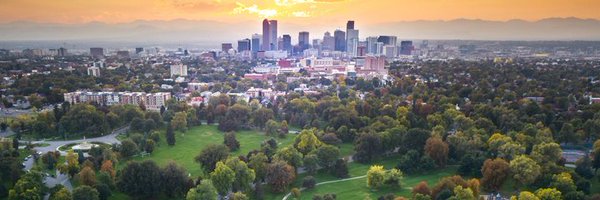 alliance4trees Profile Banner