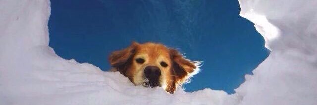 Wildcat Weight Room banner