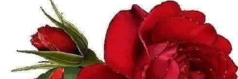 t5360h's profile banner image