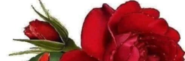 t5360h Profile Banner