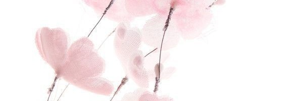 internethated's profile banner image