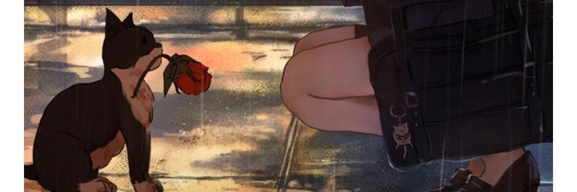 Erin🇺🇸 banner