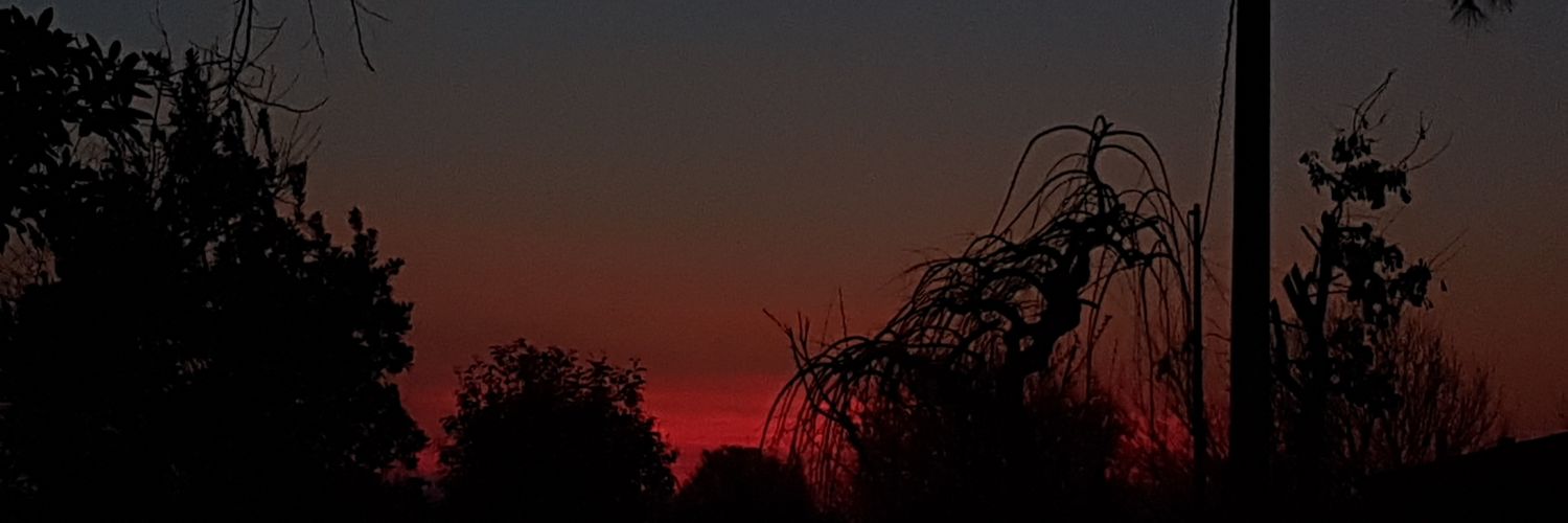 Memidi_Red's profile banner image