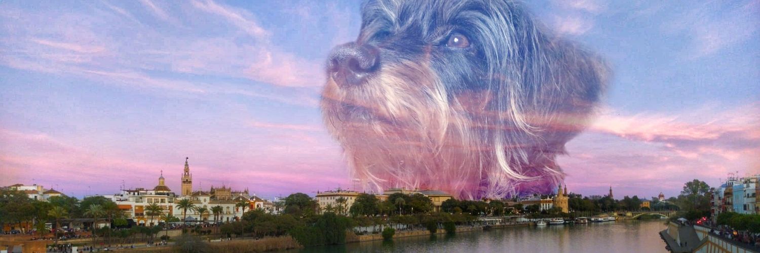 ℙ𝕙𝕚 ඩා banner