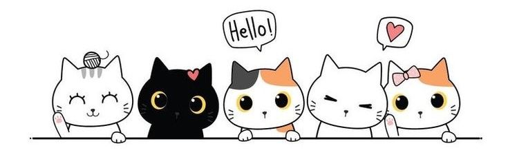 Kimmy🐱 (cek my bio😽) banner