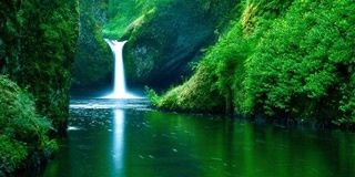 AndieAnnaQu's profile banner image