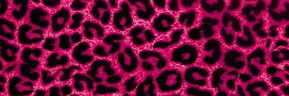 Kinomekiki's profile banner image