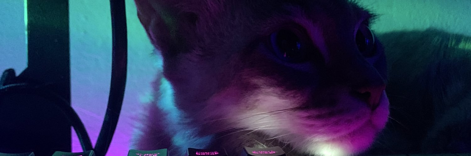 bubis01's profile banner image