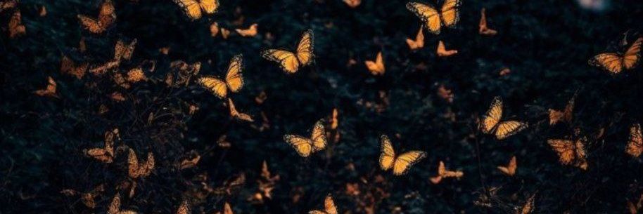 ADN1976's profile banner image