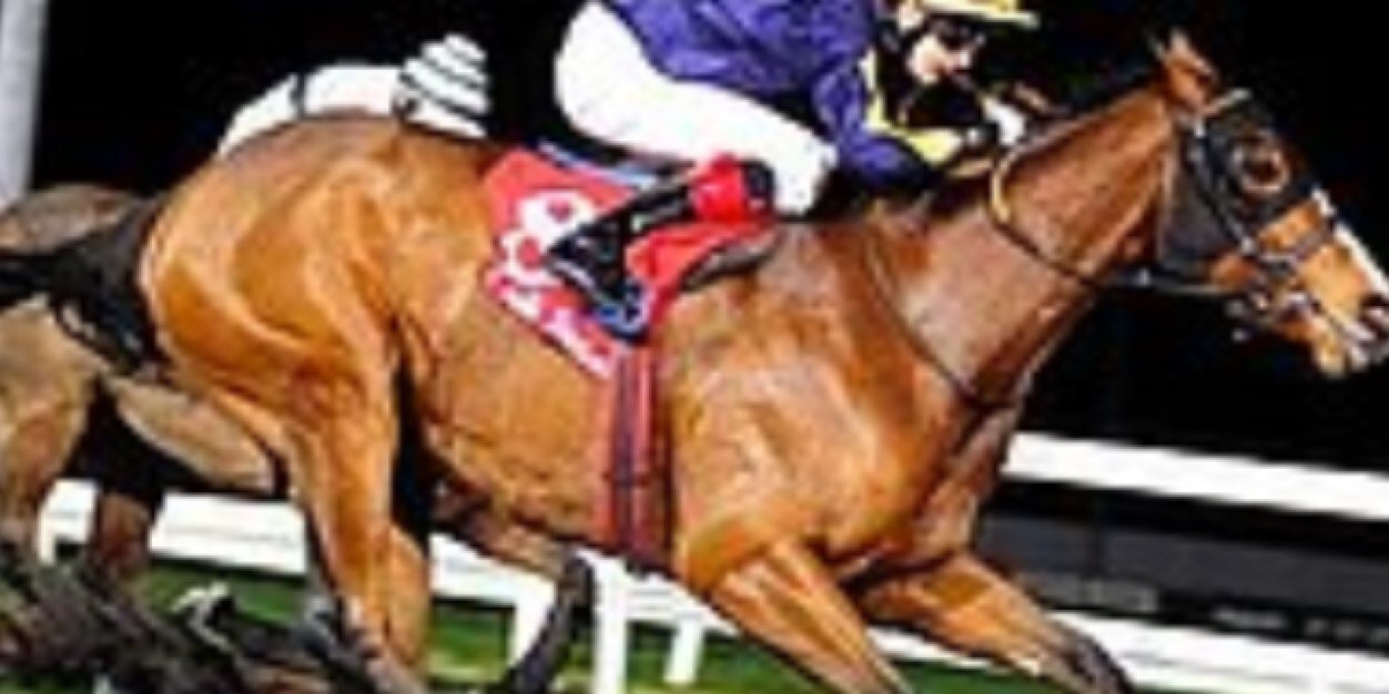 rd1232013's profile banner image