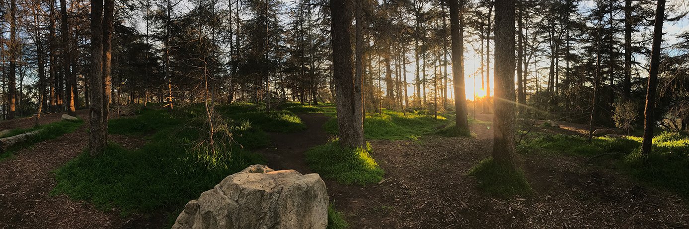 Why_Be_Green's profile banner image